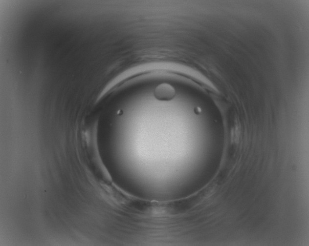 X0000082940264200702081631