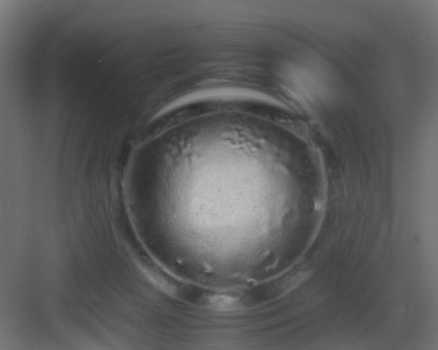 X0000082940265200702081631