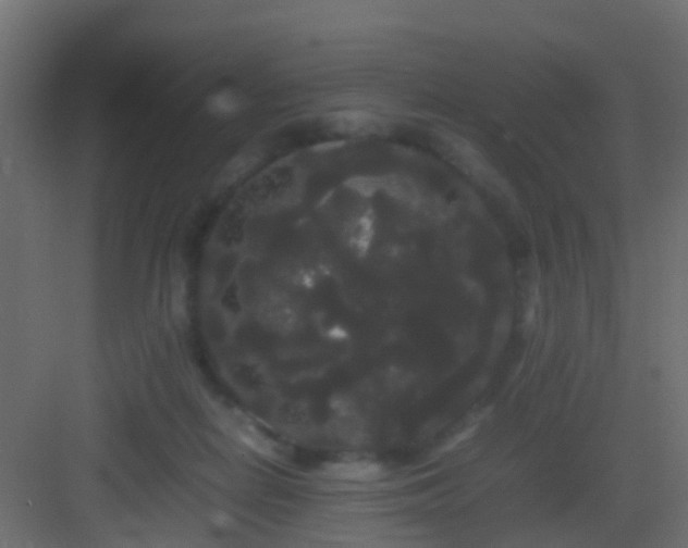 X0000082940266200702081631