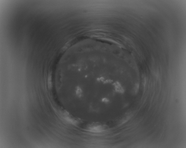 X0000082940267200702081631