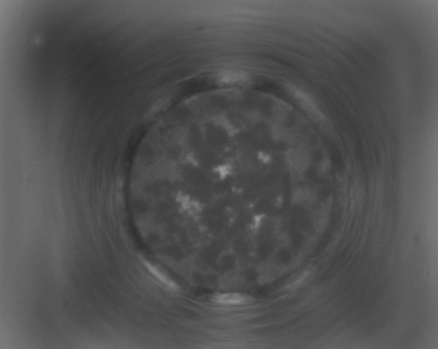 X0000082940269200702081631