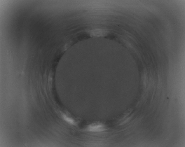 X0000082940271200702081631