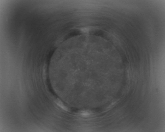 X0000082940275200702081631