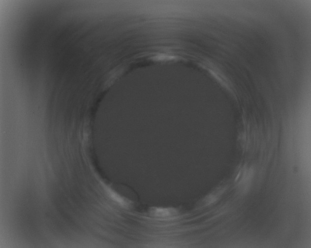 X0000082940277200702081631