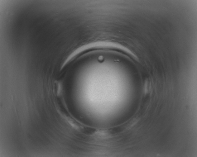 X0000082940280200702081631