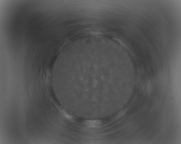 X0000082940281200702081631