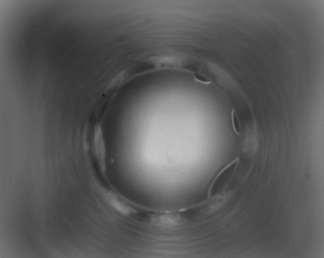 X0000082940282200702081631