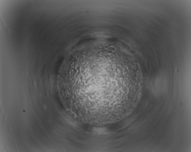 X0000082940283200702081631