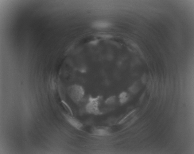 X0000082940285200702081631