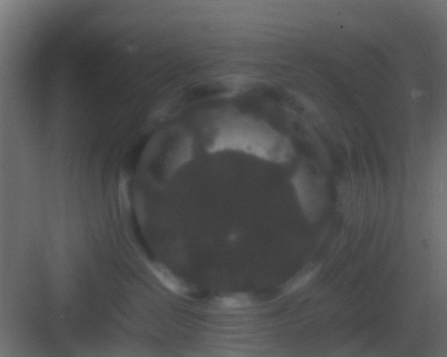 X0000082940286200702081631