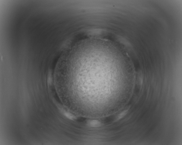 X0000082940287200702081631