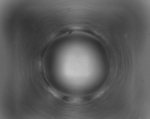 X0000082940288200702081631