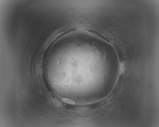 X0000082940291200702081631