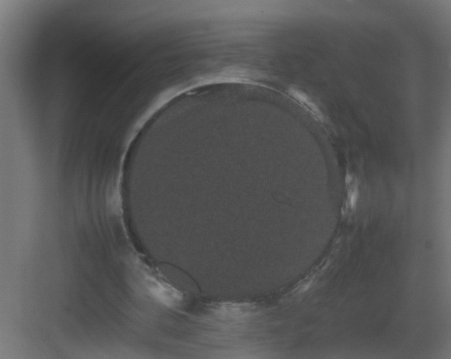 X0000082940292200702081631