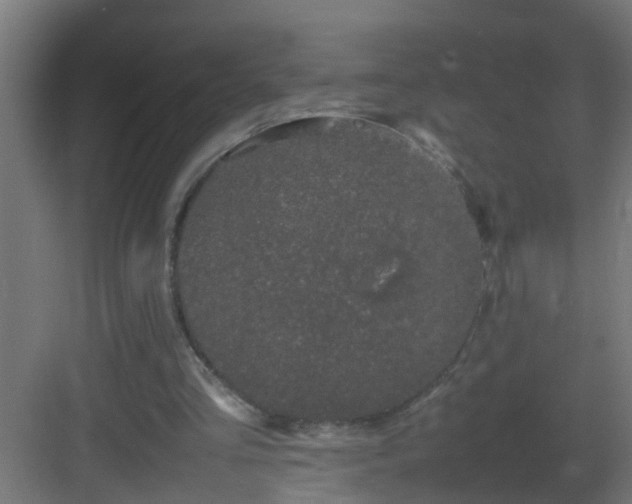 X0000082940293200702081631