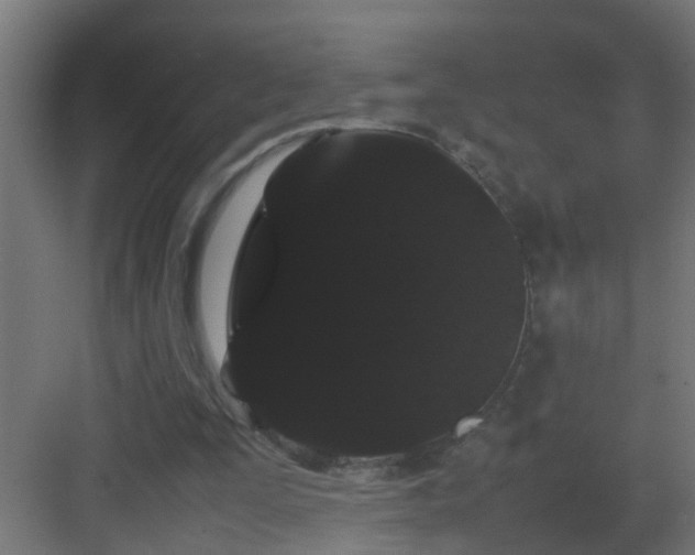 X0000082940295200702081631