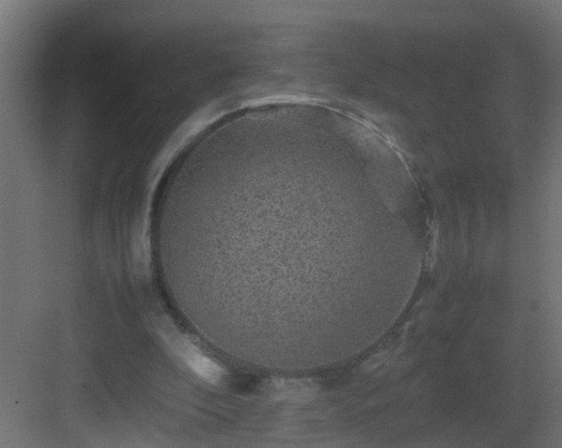 X0000082940296200702081631