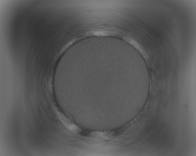 X0000082940297200702081631