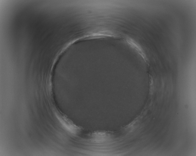 X0000082940298200702081631