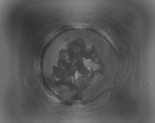 X0000082940299200702081631