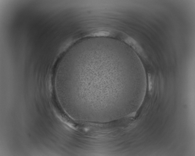 X0000082940300200702081630