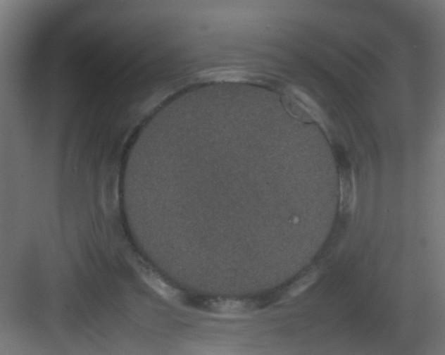 X0000082940301200702081630