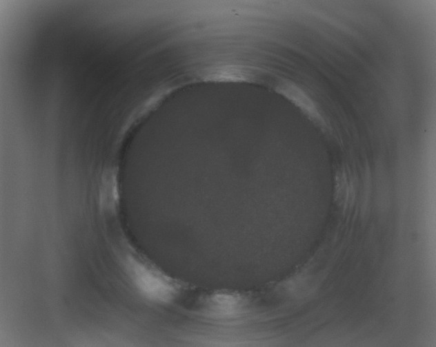 X0000082940302200702081630