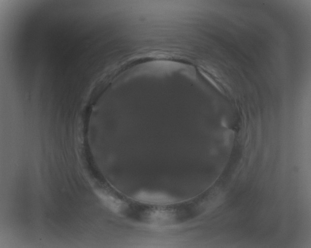 X0000082940303200702081630