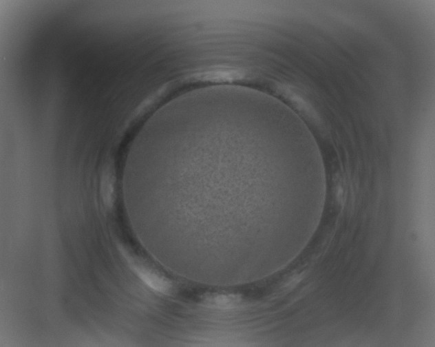 X0000082940304200702081630