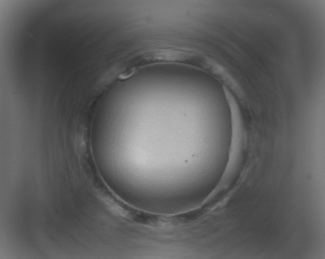 X0000082940305200702081630