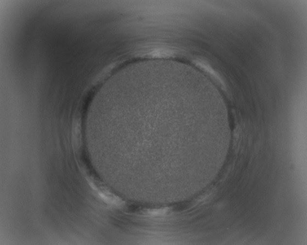 X0000082940306200702081630