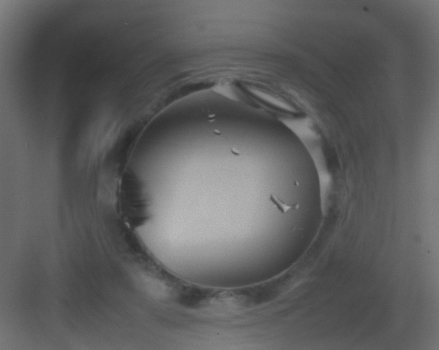 X0000082940307200702081630