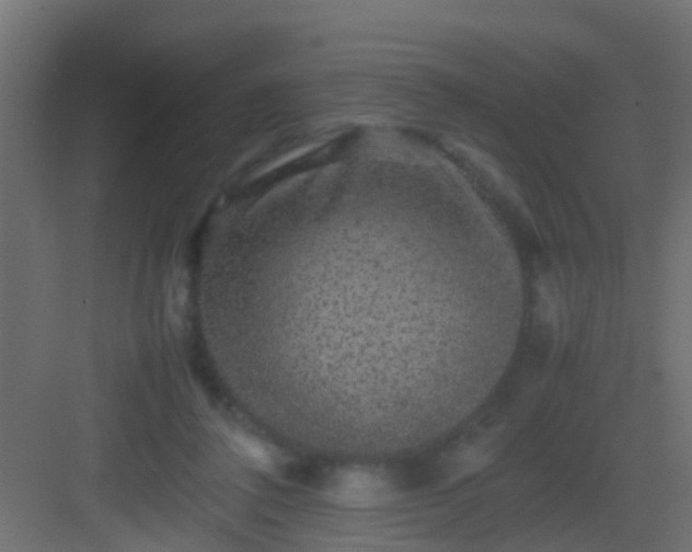 X0000082940308200702081630