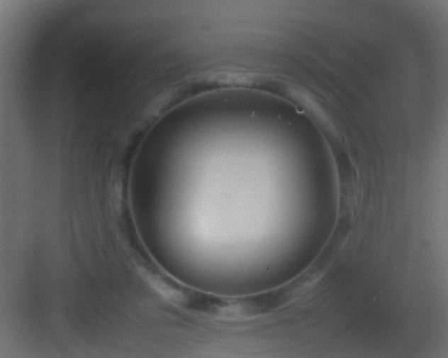 X0000082940309200702081630