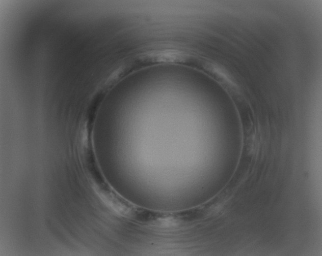 X0000082940310200702081630