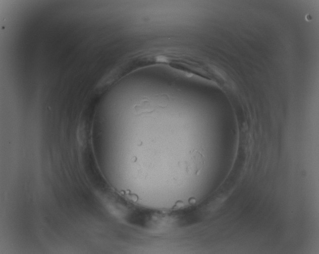 X0000082940311200702081630