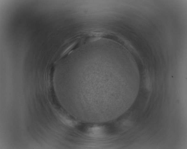 X0000082940312200702081630