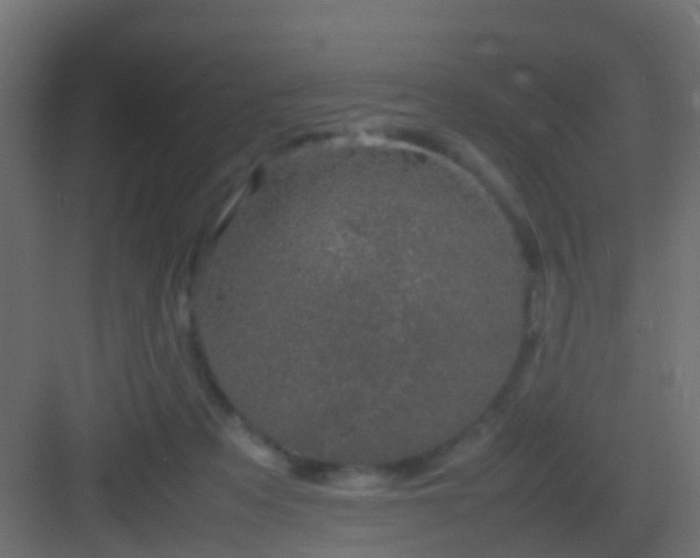 X0000082940313200702081630