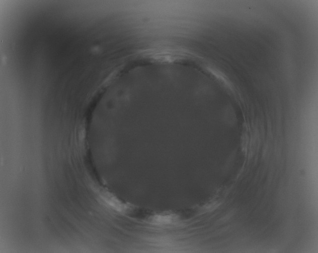 X0000082940314200702081630