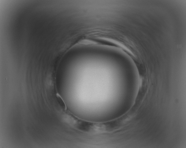 X0000082940317200702081630