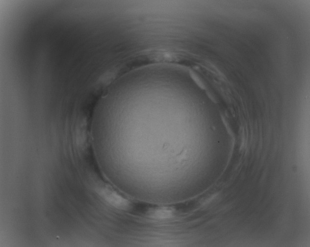 X0000082940318200702081630