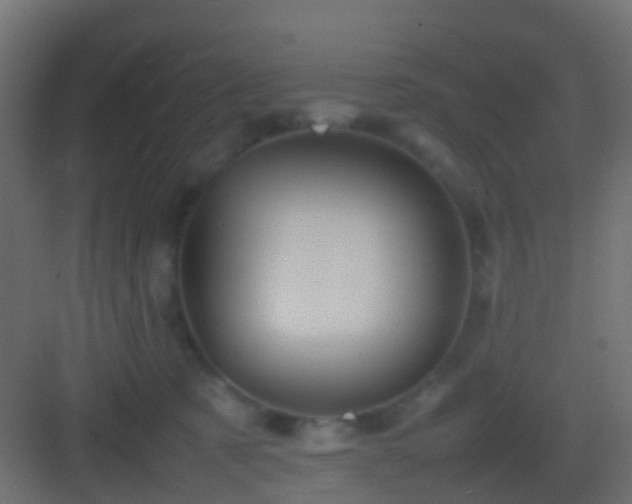 X0000082940321200702081630