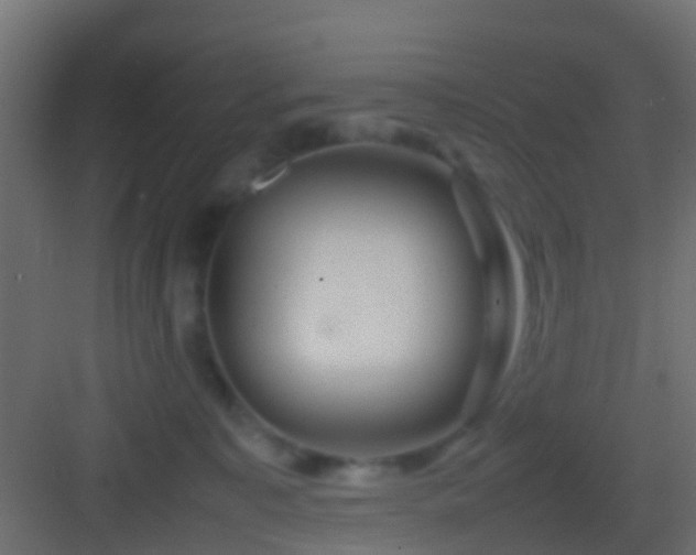 X0000082940323200702081630