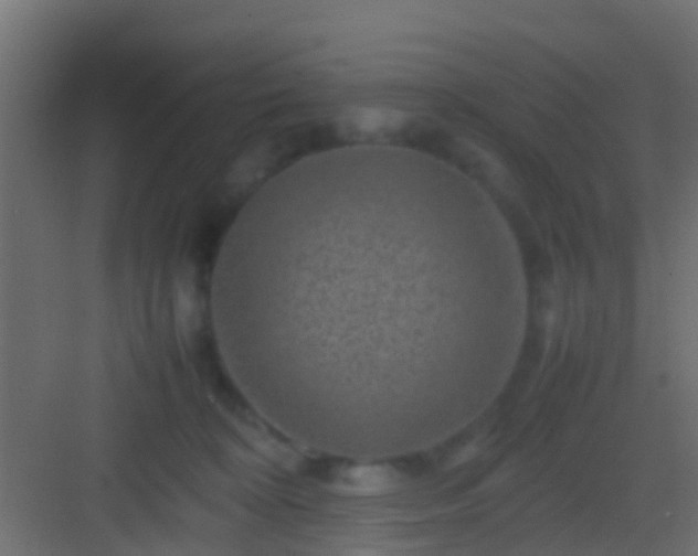 X0000082940324200702081630