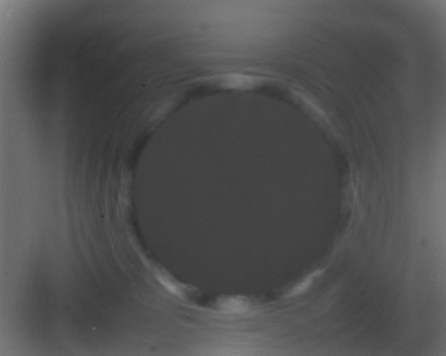 X0000082940325200702081630