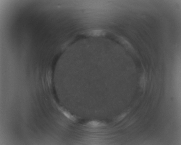 X0000082940326200702081630