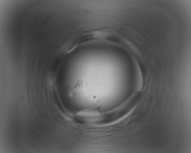 X0000082940329200702081630