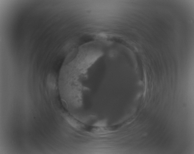 X0000082940331200702081630