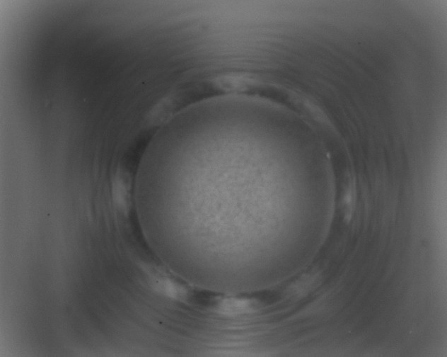 X0000082940332200702081630