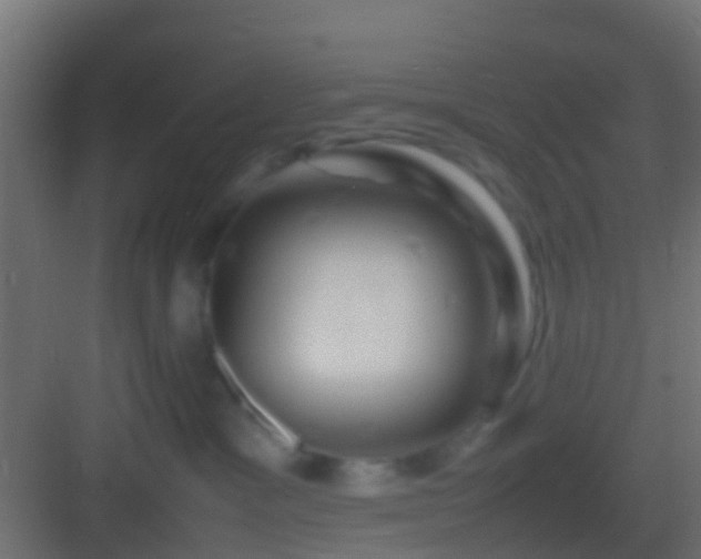 X0000082940333200702081630